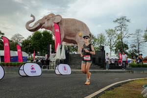 BIB: 
                            <button type="button" onclick="openModal(26528571)" class="btn btn-primary btn-sm float-right btn-popup" data-toggle="modal" data-target=".modal-high-quality">
                        <i class="fas fa-shopping-cart"></i> Add to Cart
                    </button>
                                            <button type="button" onclick="isThisMe(26528571, true)" class="btn btn-success btn-sm float-right btn-popup btn-isme hidden" data-toggle="tooltip" data-placement="bottom" title="นี่คือรูปของคุณใช่ไหม คลิกที่นี่เพื่อเอาเข้าอัลบั้ม">
                        <i class="fas fa-plus"></i> Add to album
                    </button>
                    <button type="button" onclick="isThisMe(26528571, false)" class="btn btn-warning btn-sm float-right btn-popup btn-isnotme hidden">
                        <i class="fas fa-ban"></i> Remove from album
                    </button>